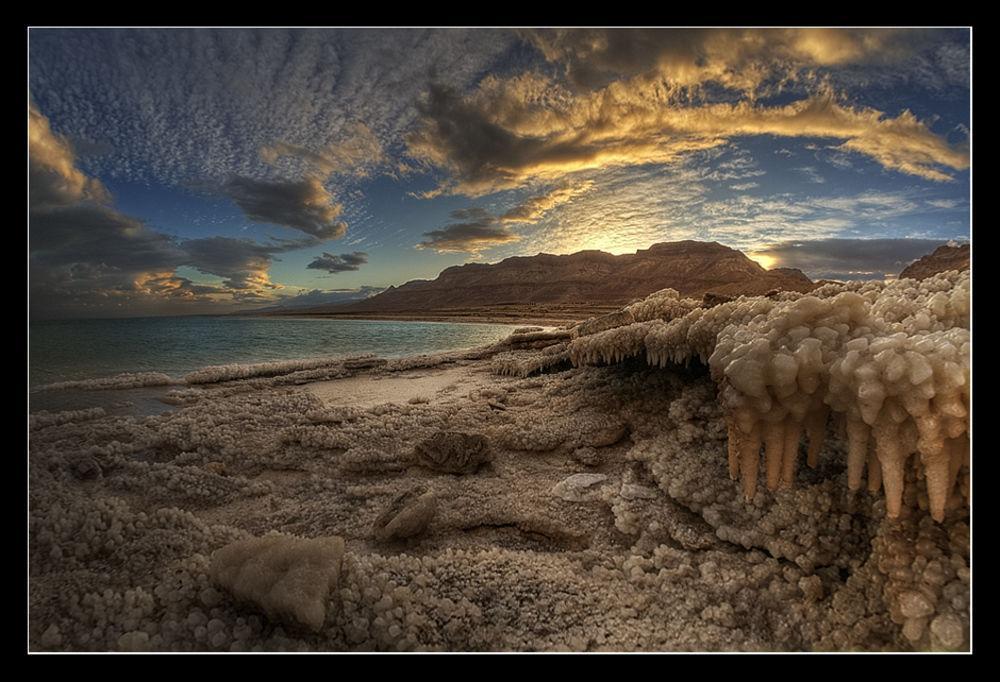 Desert View Арад Экстерьер фото
